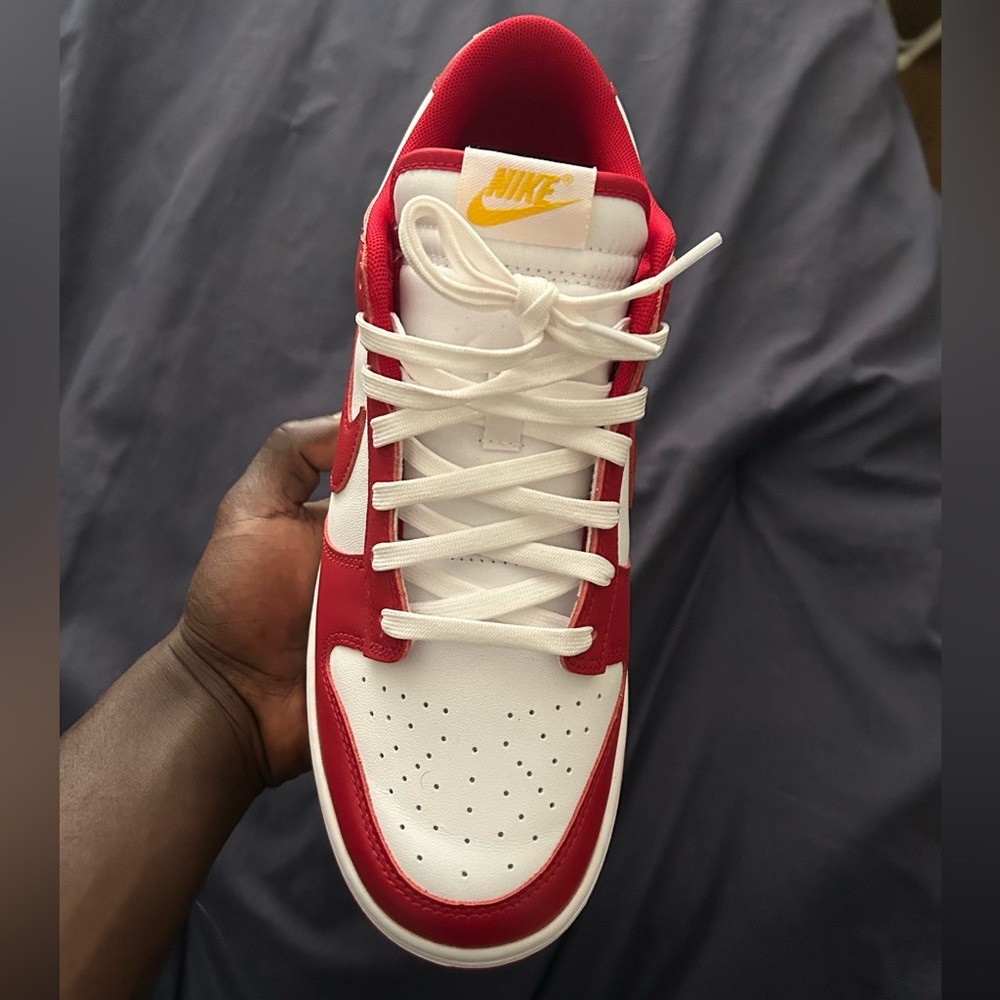 Nike Dunk Gym Red